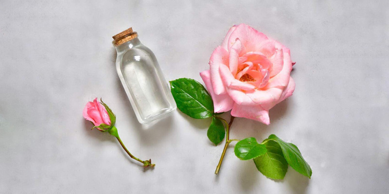ماسک گلاب برای پوست + معرفی ۶ ماسک فوقالعاده با گلاب