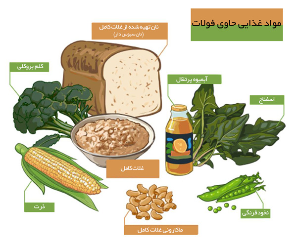 منابع غذایی حاوی فولات