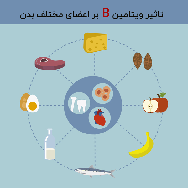 نقش ویتامین ب در عملکرد صحیح بدن