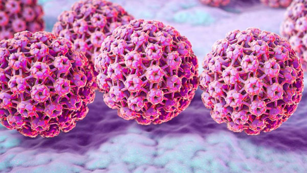 رابطه HPV و سرطان رحم