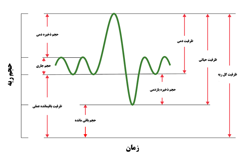 نمودار حجم های تنفسی