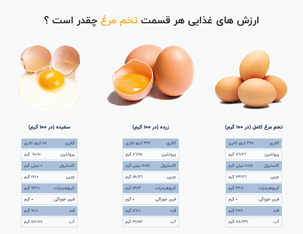 خواص تخم مرغ