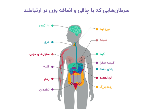 ارتباط چاقی و سرطان  