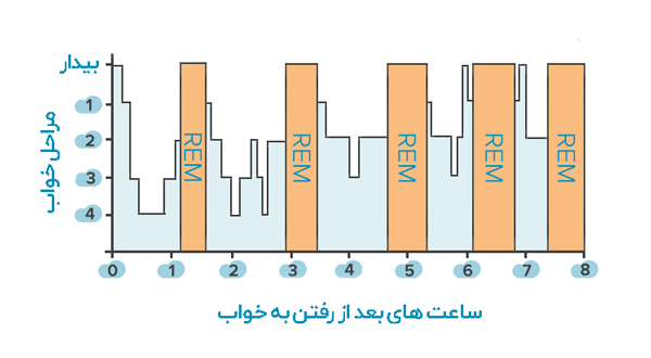 چرخه‌ی خواب