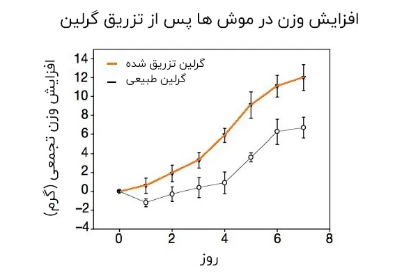 گرلین (هورمون گرسنگی) 