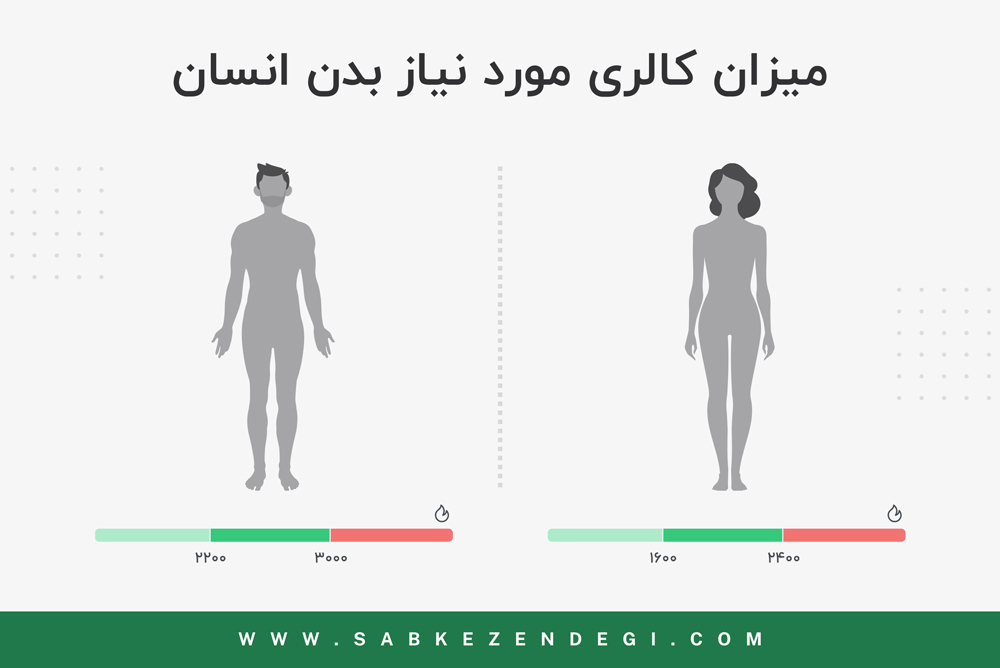 کالری مورد نیاز بدن زنان و مردان